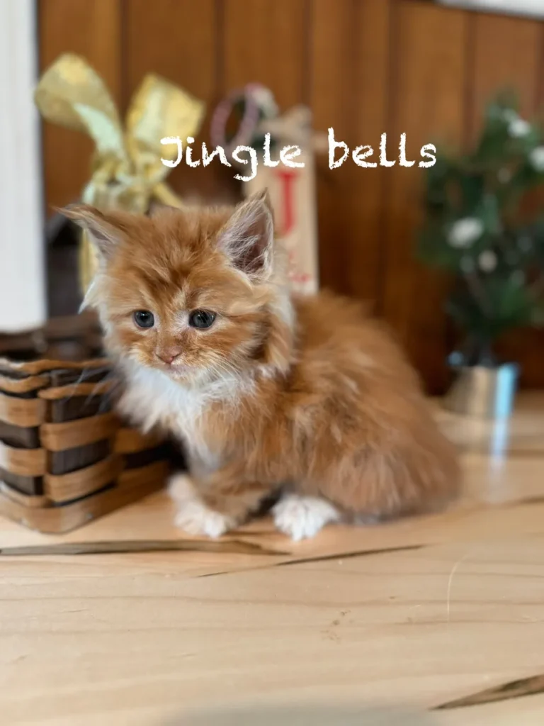 jingle-bells-1