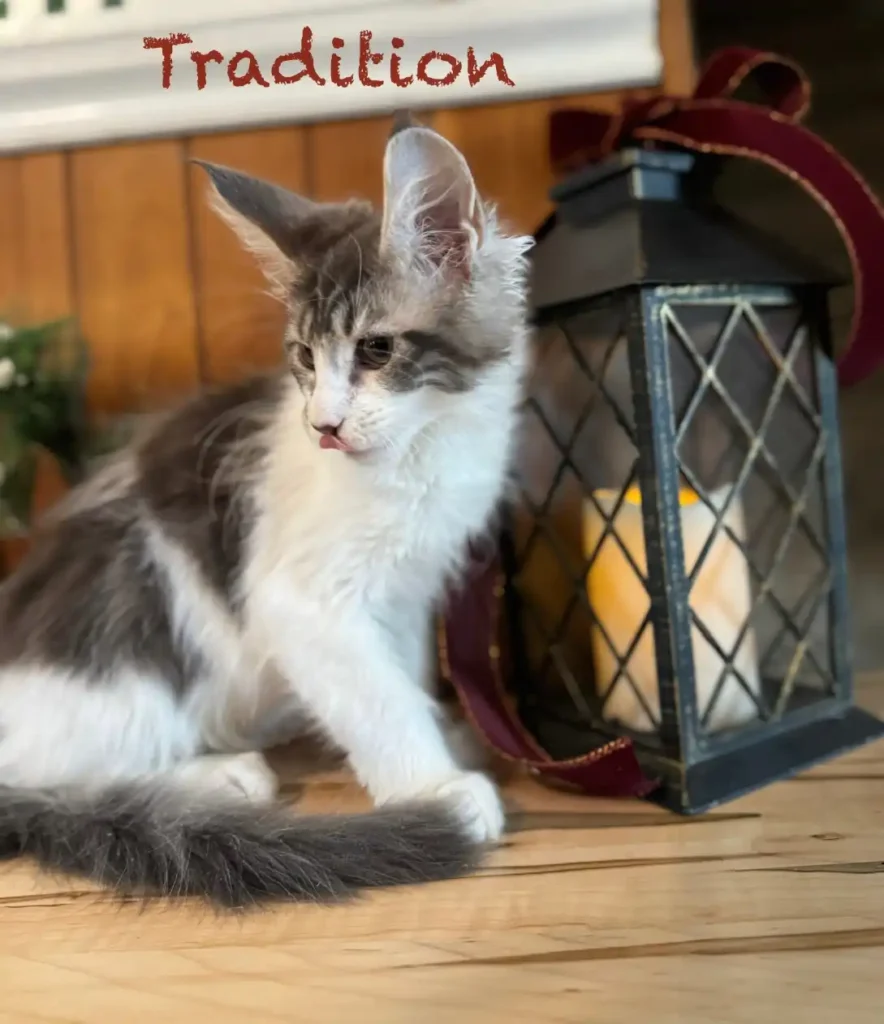 mt-haven-tradition-2