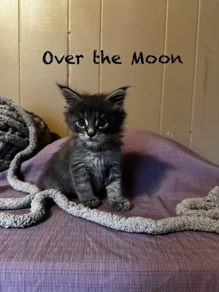 otm