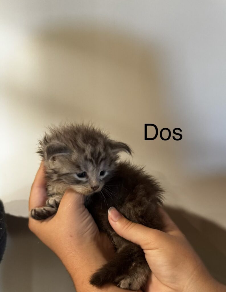 image32